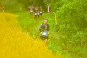 BIB: 
                            <button type="button" onclick="openModal(13455901)" class="btn btn-primary btn-sm float-right btn-popup" data-toggle="modal" data-target=".modal-high-quality">
                        <i class="fas fa-shopping-cart"></i> Add to Cart
                    </button>
                                            <button type="button" onclick="isThisMe(13455901, true)" class="btn btn-success btn-sm float-right btn-popup btn-isme hidden" data-toggle="tooltip" data-placement="bottom" title="นี่คือรูปของคุณใช่ไหม คลิกที่นี่เพื่อเอาเข้าอัลบั้ม">
                        <i class="fas fa-plus"></i> Add to album
                    </button>
                    <button type="button" onclick="isThisMe(13455901, false)" class="btn btn-warning btn-sm float-right btn-popup btn-isnotme hidden">
                        <i class="fas fa-ban"></i> Remove from album
                    </button>